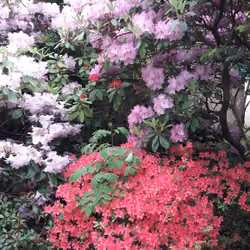 20170515_154255