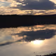 Nature NFT