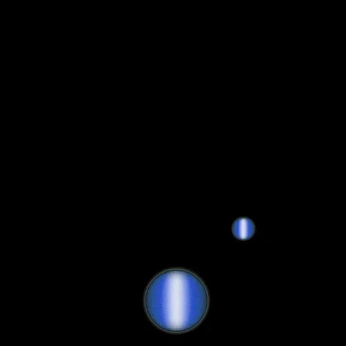 STARS 81