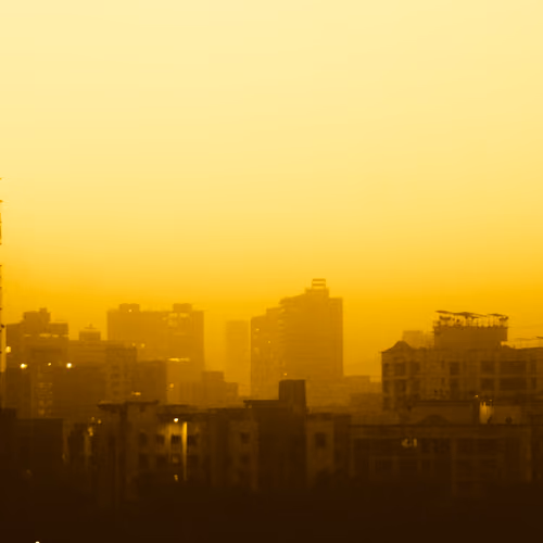 DAY14_Rise
