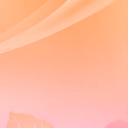 das