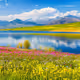 landscape