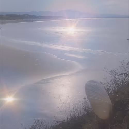 landscape 002 [core memory]