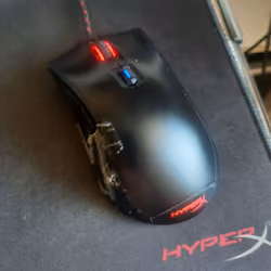 мышь живая