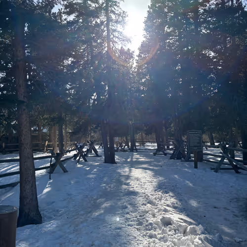 Colorado Dreaming