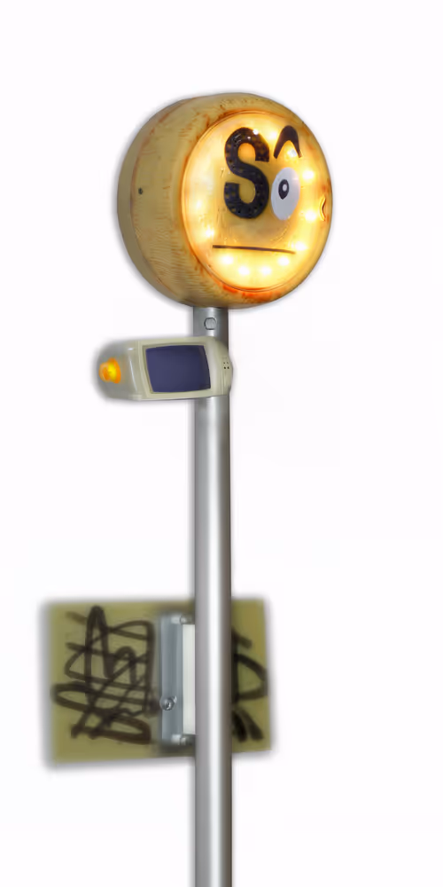 Item #24 Media
