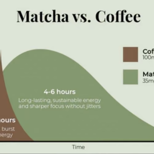 Matcha vs. Coffee