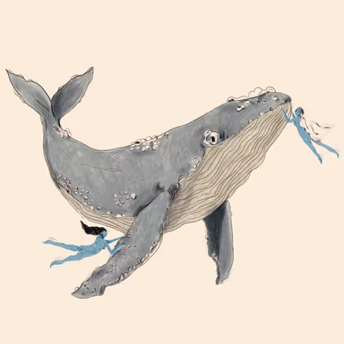 whale 