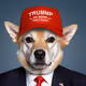 TrumpWifHat