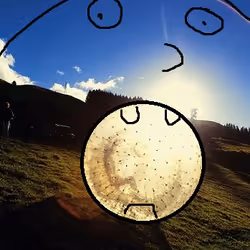 Dreamer's Zorbs