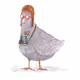 goose pilot 1