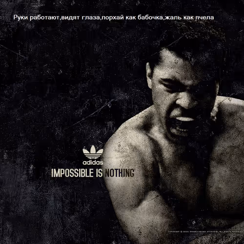 Ali 8