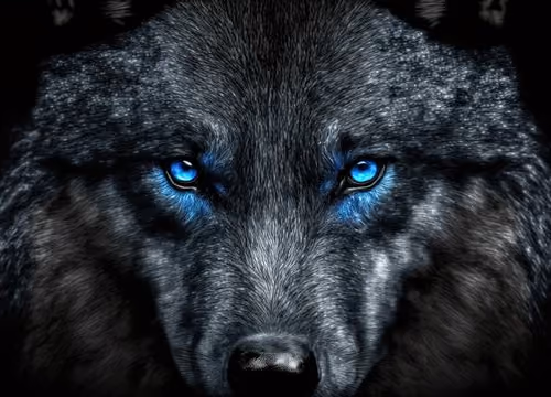 Wolf