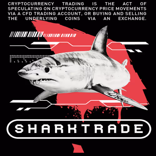SHARK TRADE 12