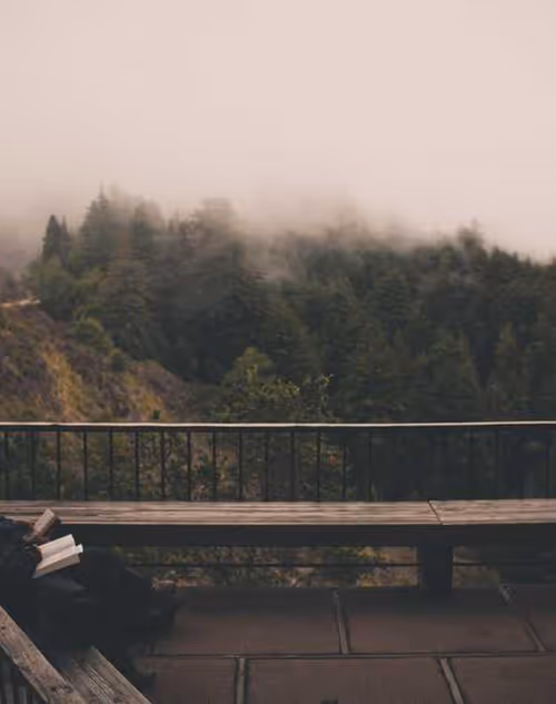Item #2 Media