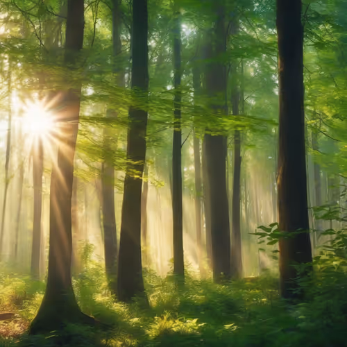 Item #23 Media