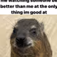 HyraxDAO