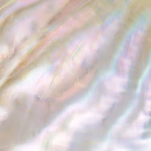 pearl 1