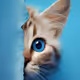 blue