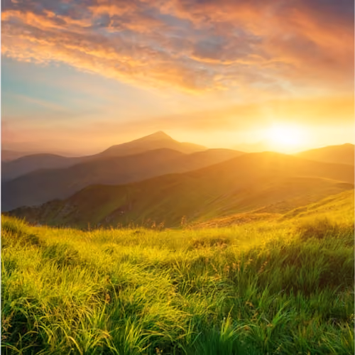 BEAUTY OF NATURE 1