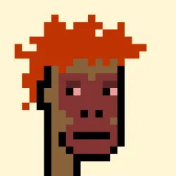 12054