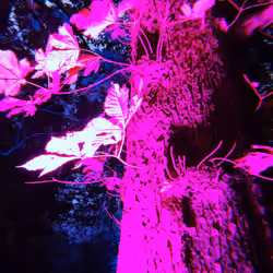 photo1699806251 (2)