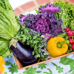 vegetables-790022_640