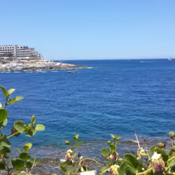 Sea