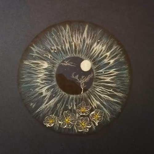 moonlight 1