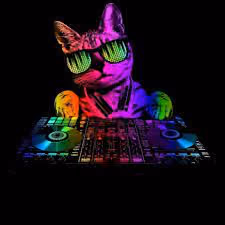 catdj