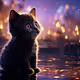 BABY CAT!
