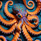 Octopodus