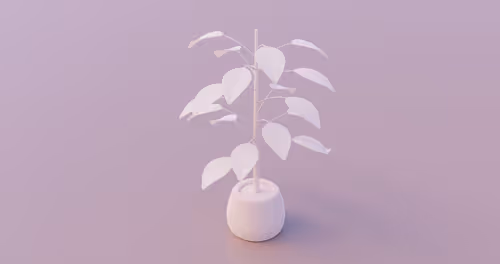 Item #2 Media