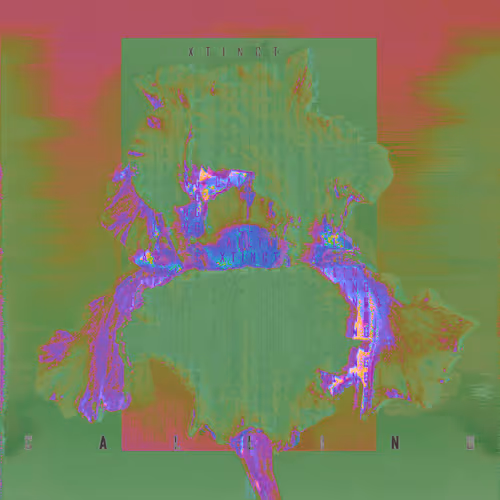 Item #17 Media