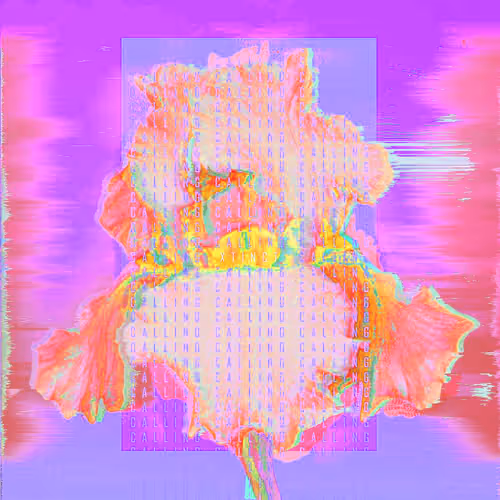 Item #7 Media
