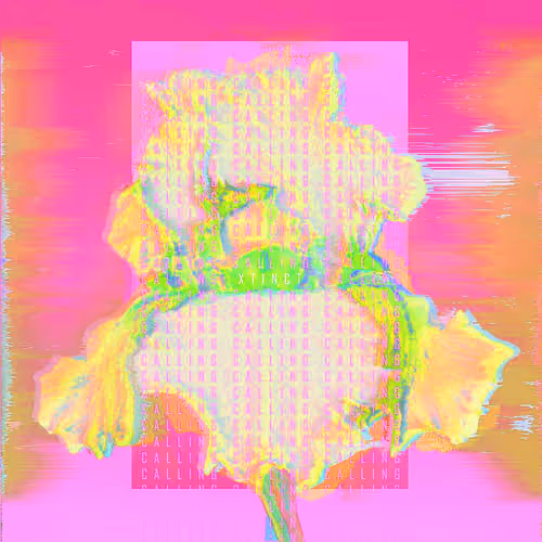 Item #9 Media