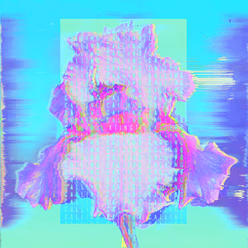 Item #5 Media