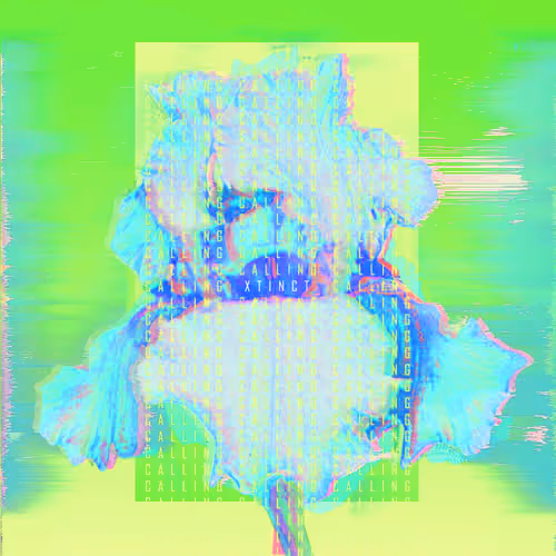 Item #3 Media