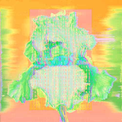 Item #2 Media