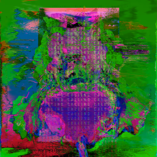 Item #50 Media