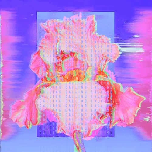 Item #13 Media
