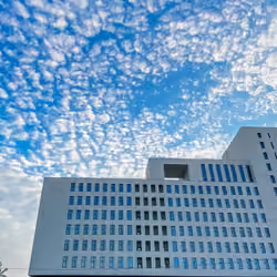 specks of clouds