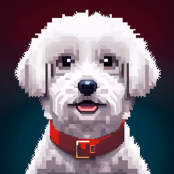 maltese2