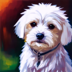 maltese3