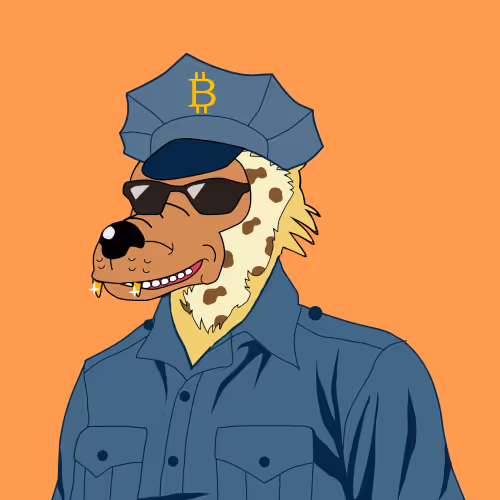 cop in zora
