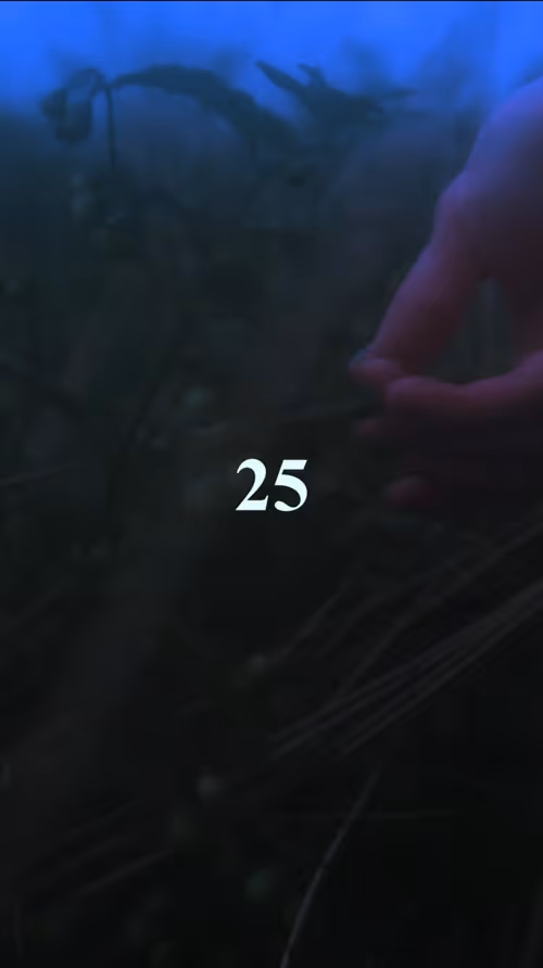 Item #7 Media