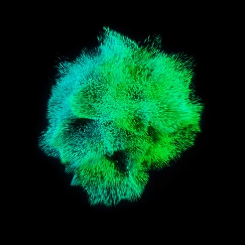 Colorfi #1733