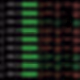 $WOC