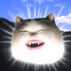 273