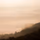 Waters